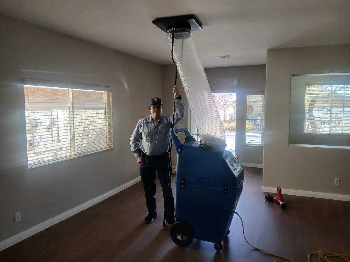 Professional Dryer Vent Cleaning work inside a Bayonet Point home